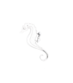 Aquavo Logo